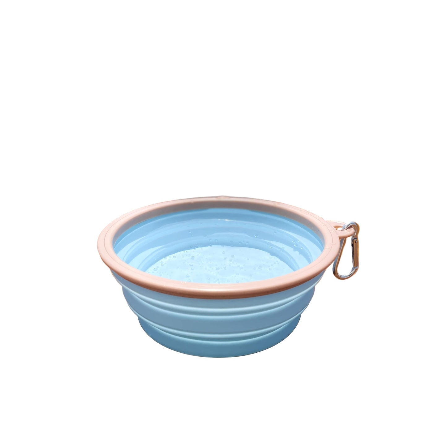 Collapsible Dog Bowl
